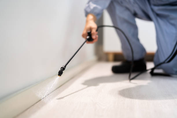 Licensed Mosquito Control service in Groesbeck, TX - Show Me Pest Control