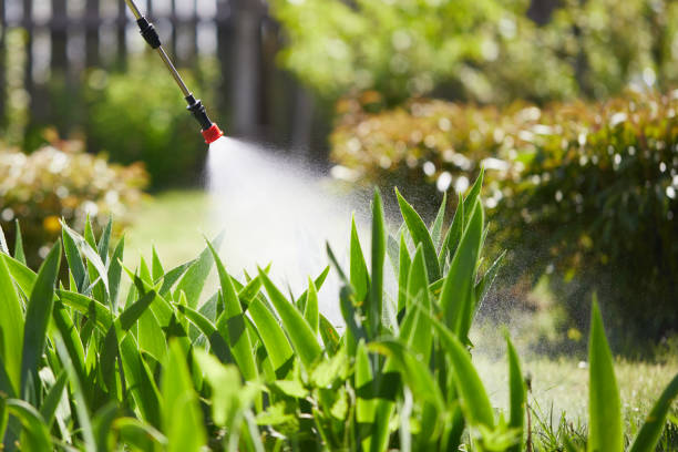 24/7 Emergency Mosquito Control experts in Groesbeck, TX