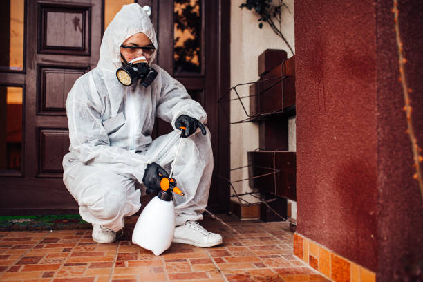 Reliable Mosquito Control contractor in Groesbeck, TX by Show Me Pest Control
