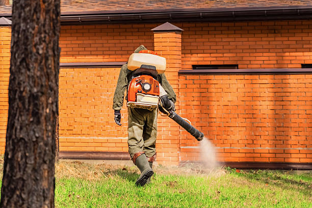 Top rated local Mosquito Control specialists in Groesbeck, TX